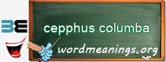 WordMeaning blackboard for cepphus columba